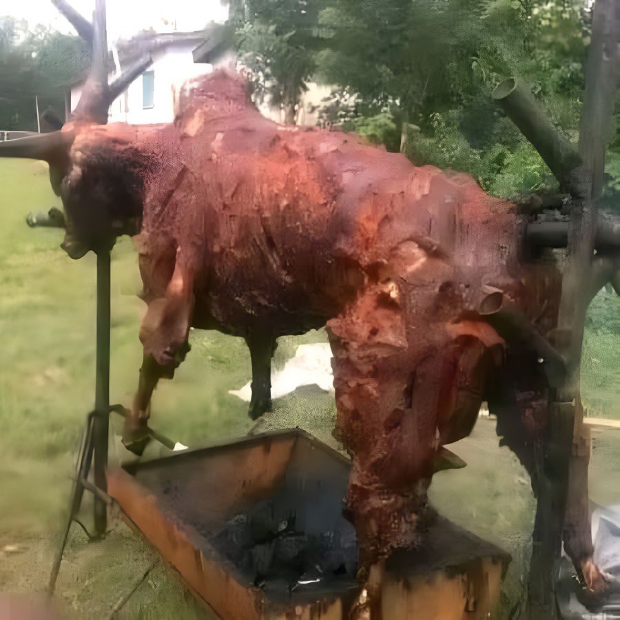 Marinated Roasted Cow